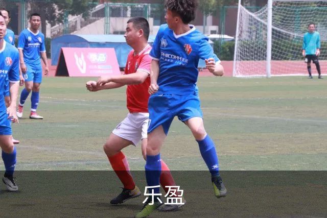 乐盈公司简介展示图